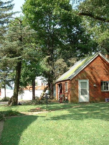 Fallen Trees on House