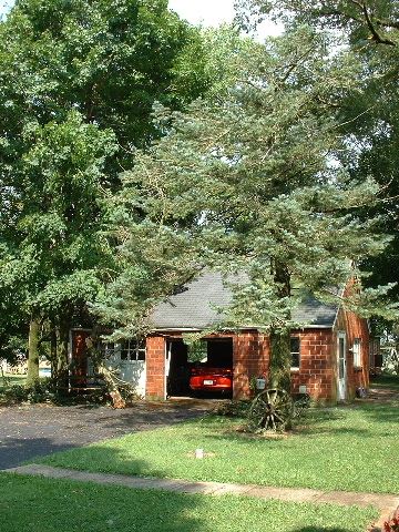 Trees Around Brick House